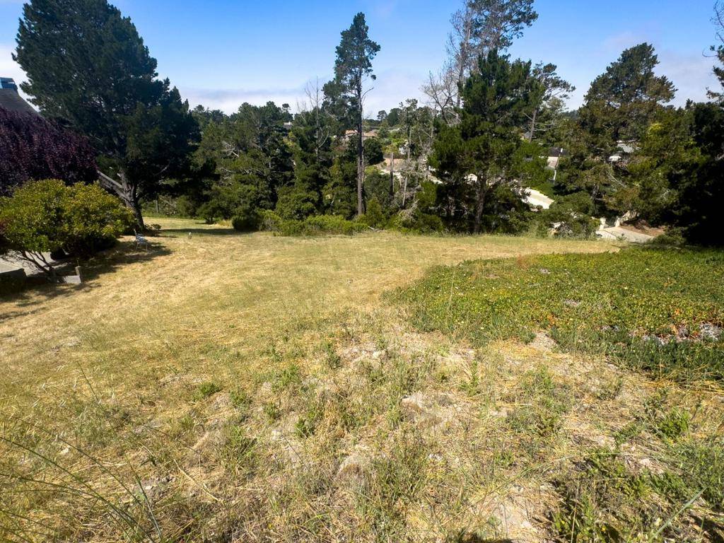 Carmel, CA 93923,25575 Chiquito PL