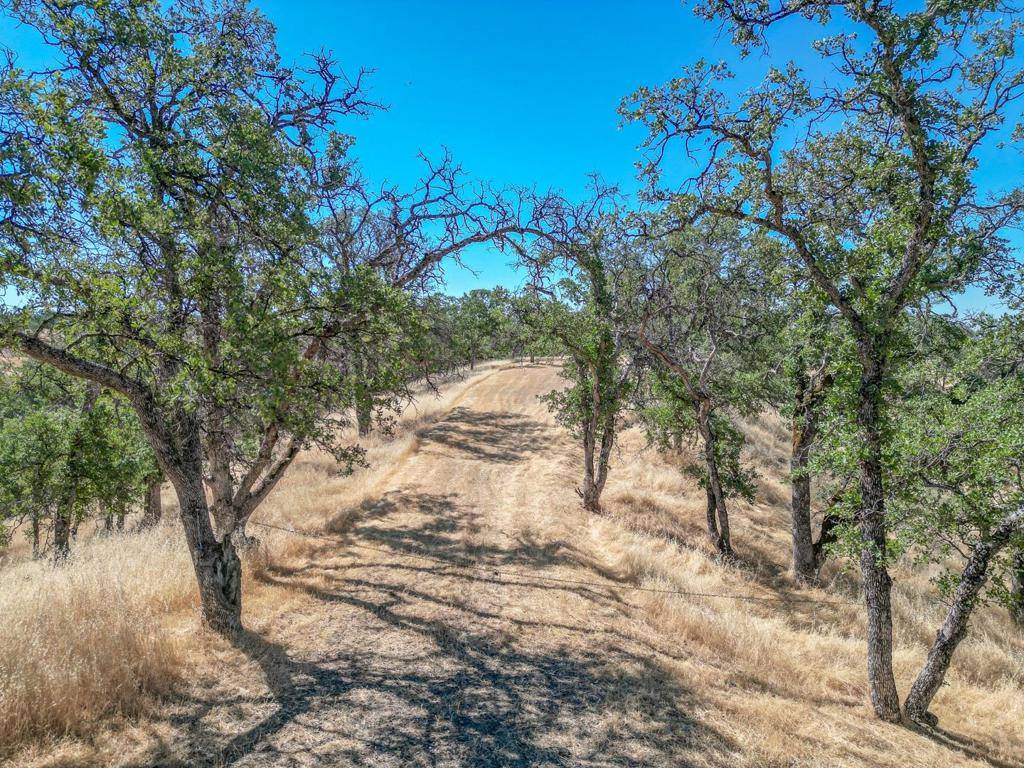 Red Bluff, CA 96080,0 Wood Duck Pass RD