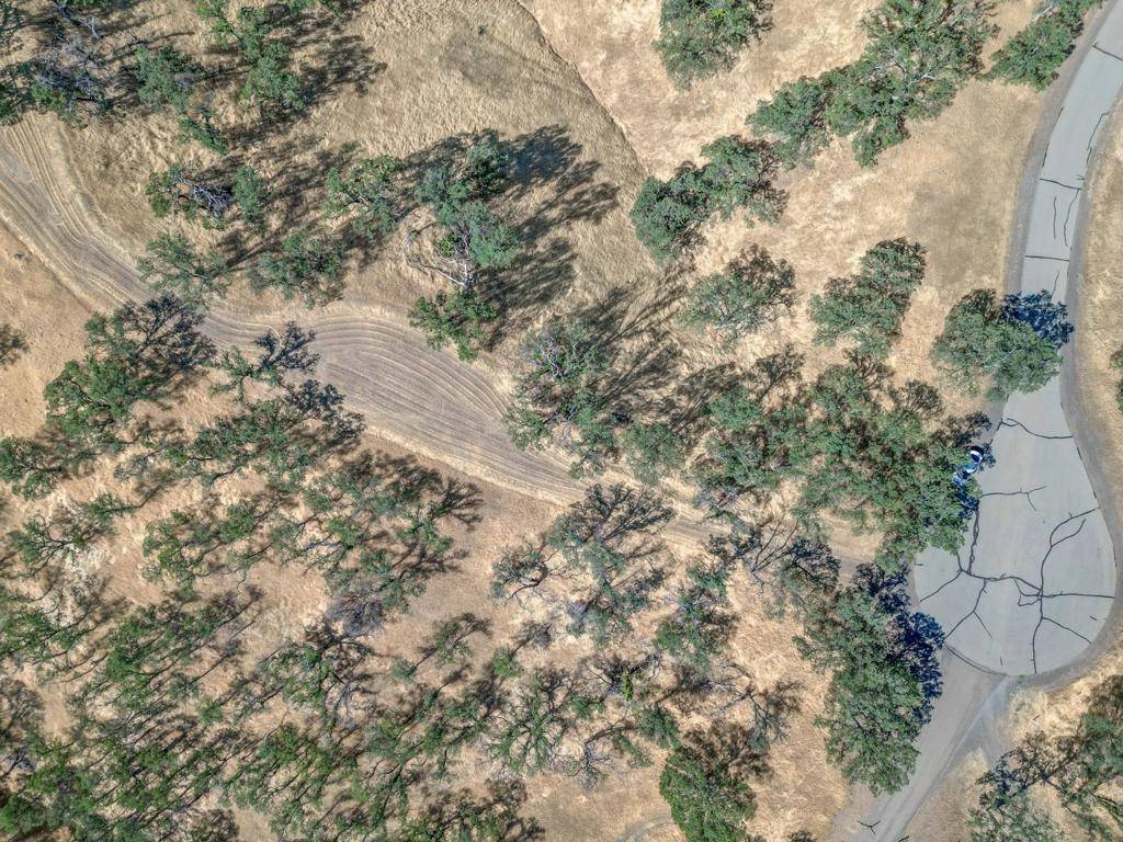 Red Bluff, CA 96080,0 Wood Duck Pass RD