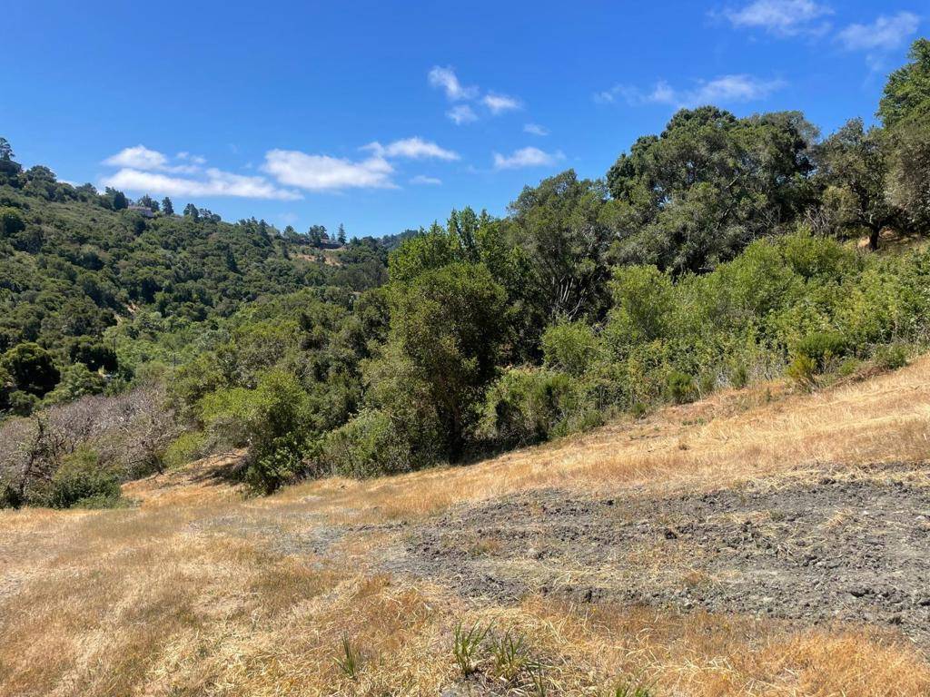 Hillsborough, CA 94010,0 Tartan Trail Road