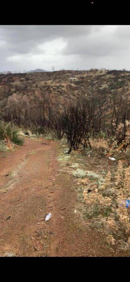 Oroville, CA 95965,0 Yankee Vista DR