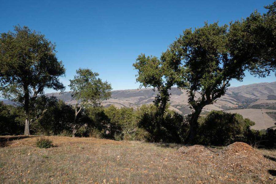 Carmel Valley, CA 93924,17114 Cachagua RD