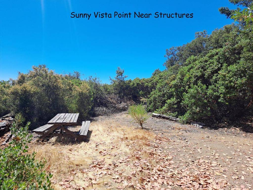 Los Gatos, CA 95033,12500 Fox RUN