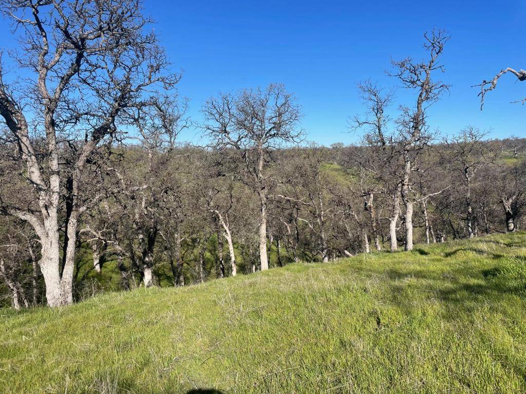 Red Bluff, CA 96080,108 Lot 8 of Tract No.91-1002 LN
