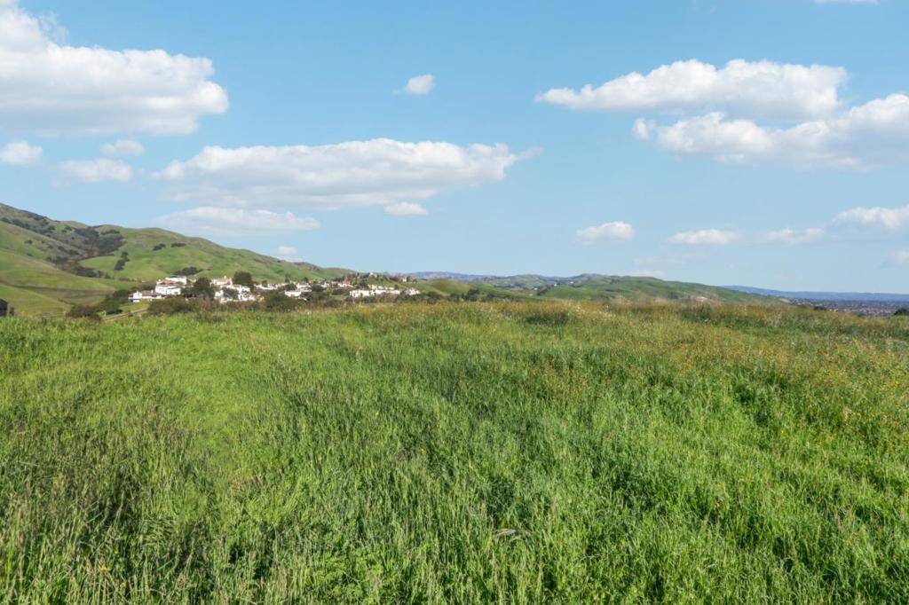 Milpitas, CA 95035,1339 Terra Vista CT