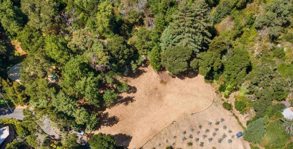Portola Valley, CA 94028,42 Santa Maria AVE