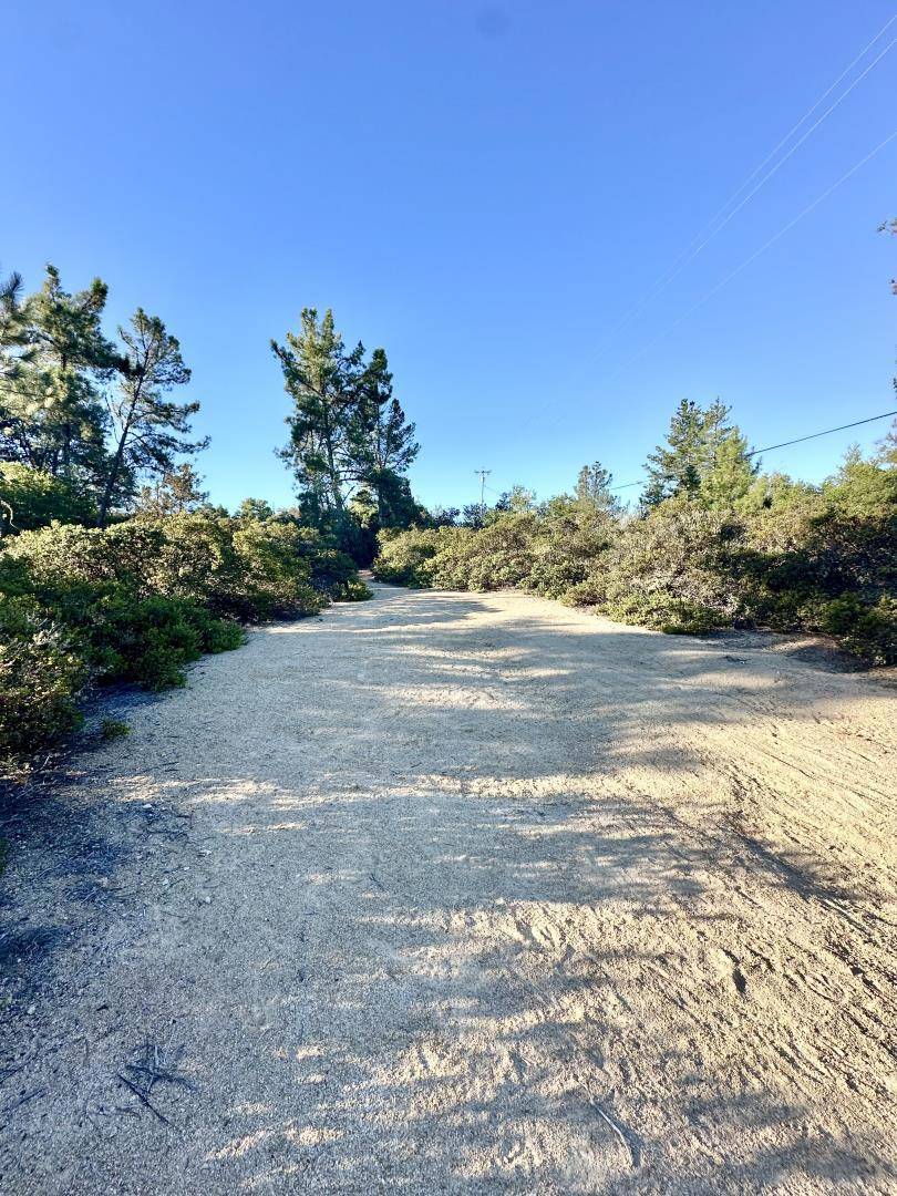 Felton, CA 95018,10001 West DR