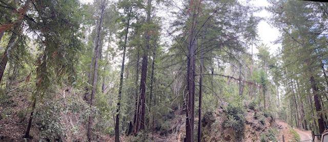 Los Gatos, CA 95033,0 Bear Creek RD