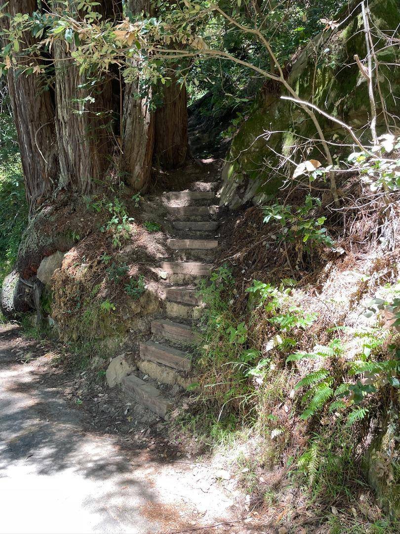 Woodside, CA 94062,0 Purisima RD