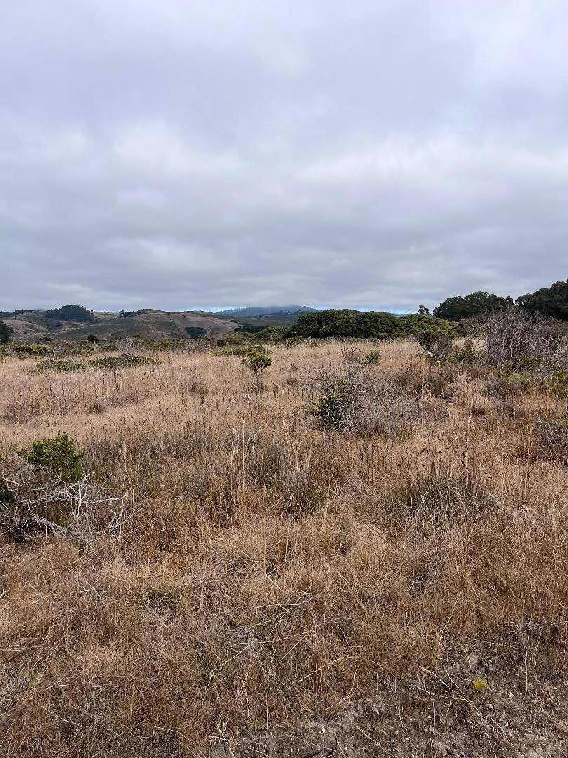 Half Moon Bay, CA 94019,110 Park AVE
