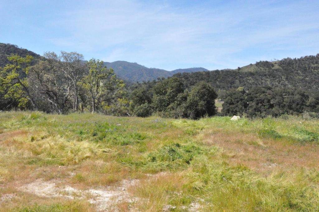Carmel Valley, CA 93924,190 Cachagua RD