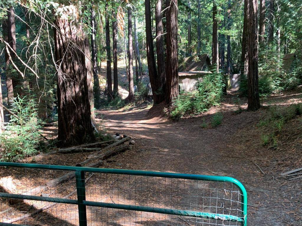 Boulder Creek, CA 95006,855 LOGANS CRK RD