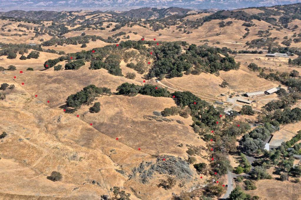 Morgan Hill, CA 95037,1 Little Uvas RD