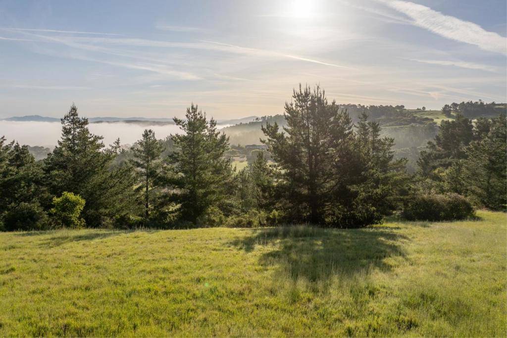 Carmel, CA 93923,7925 Cinquenta (Lot 97)