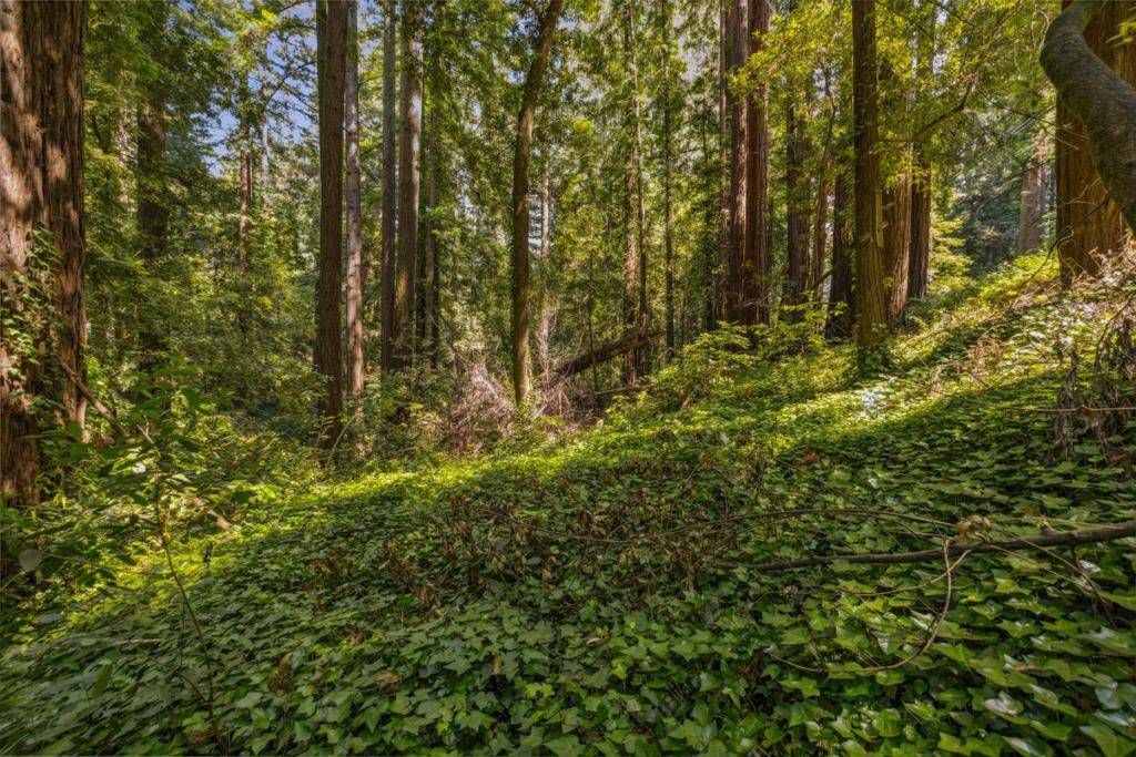 Boulder Creek, CA 95006,0 Highway 9