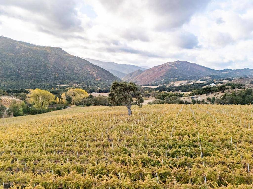 Carmel Valley, CA 93924,18190 Cachagua