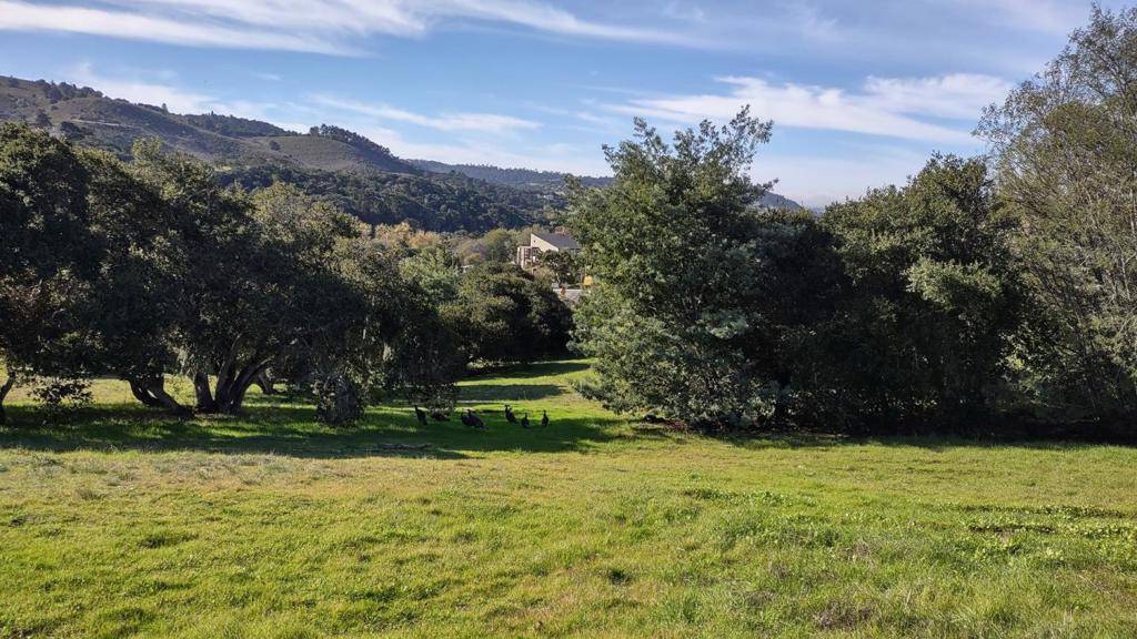Monterey, CA 93940,24480 Citation CT
