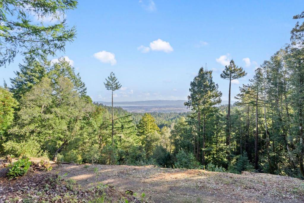 Woodside, CA 94062,0 Allen