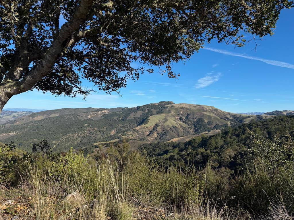 Carmel, CA 93923,70 Chamisal