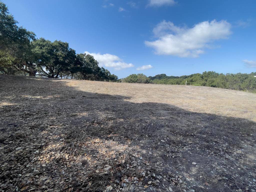 Carmel, CA 93923,70 Chamisal