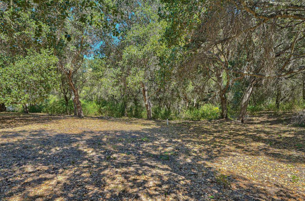 Salinas, CA 93908,27765 Mesa Del Toro RD