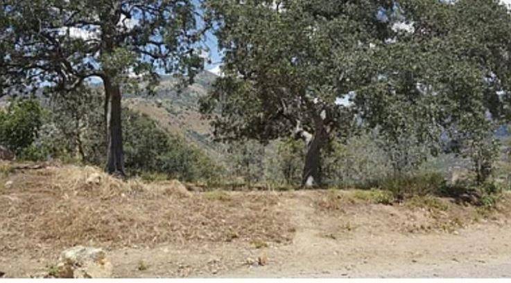 Tollhouse, CA 93667,29170 TERESA SPRING RD