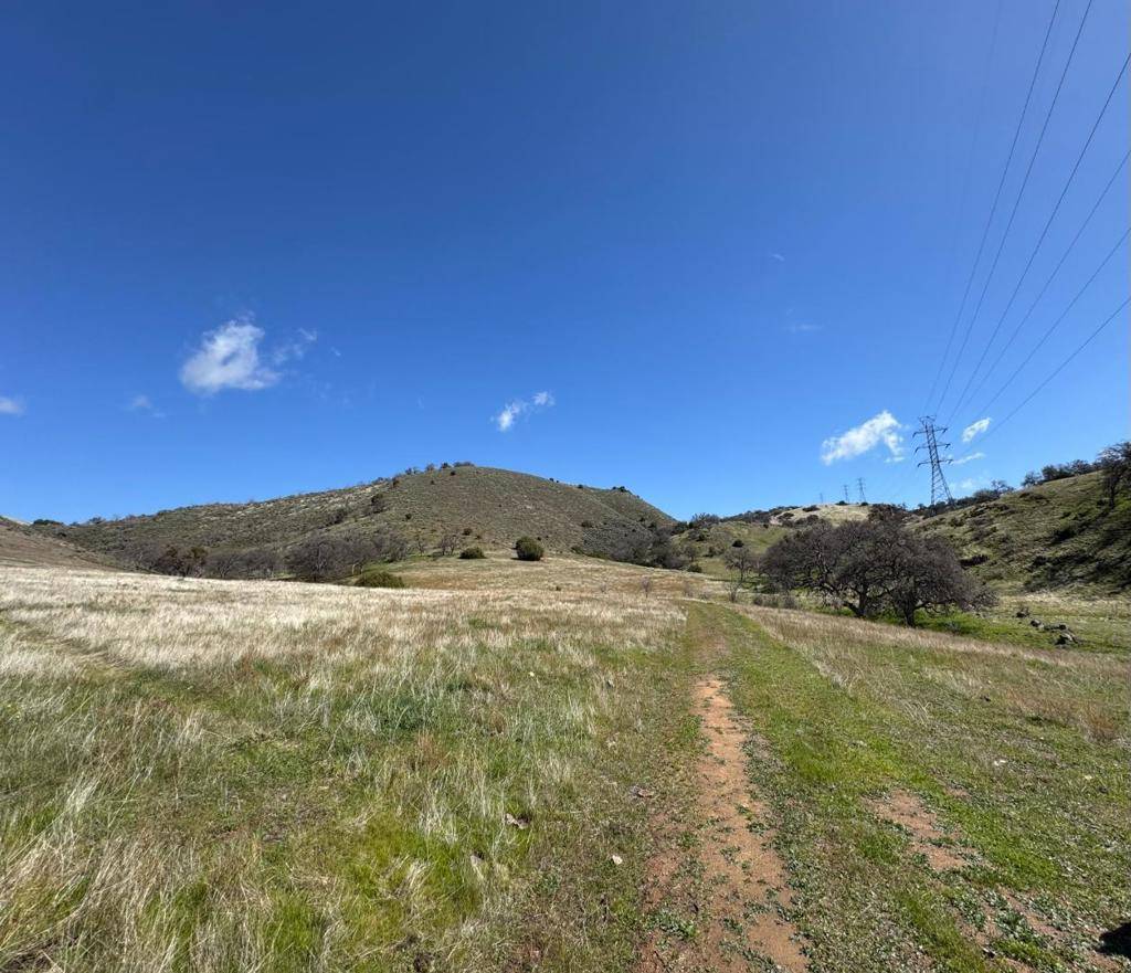 Paicines, CA 95043,42 Panoche