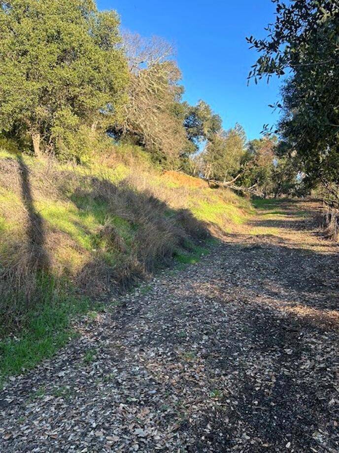 Ukiah, CA 95482,1320 Sanford Ranch RD