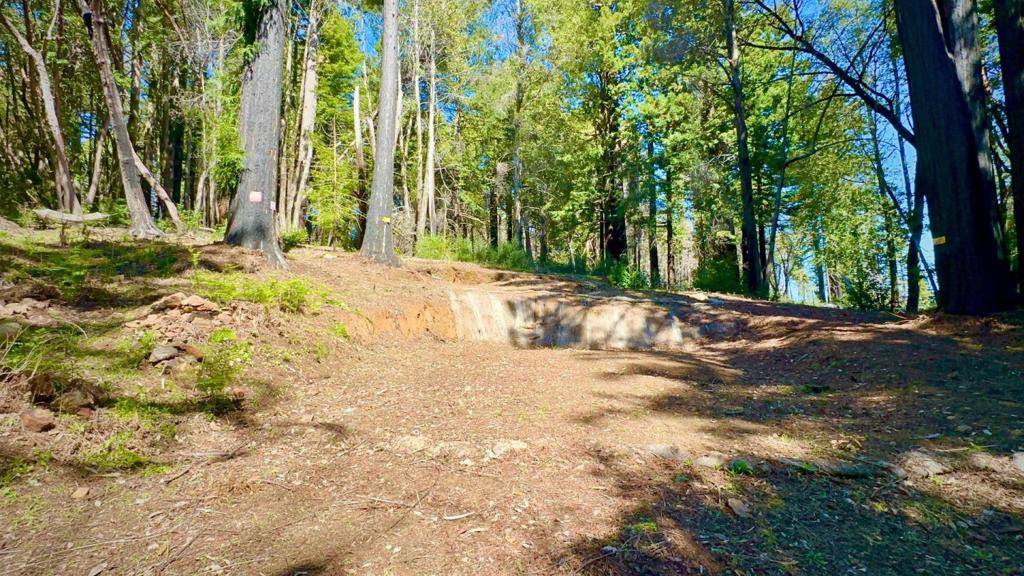 Santa Cruz, CA 95060,80 Conifer LN