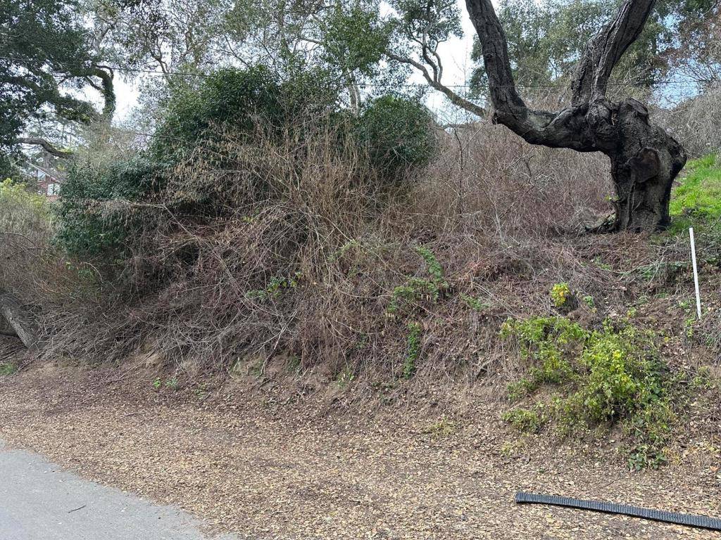 Aptos, CA 95003,0 Encino DR