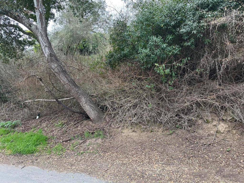 Aptos, CA 95003,0 Encino DR
