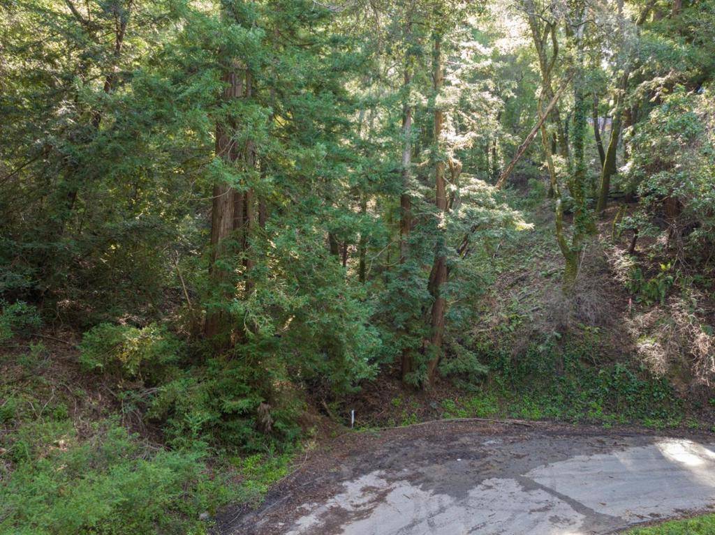 Felton, CA 95018,Lake BLVD