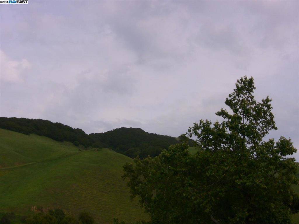 Fremont, CA 94536,711 Old Canyon RD