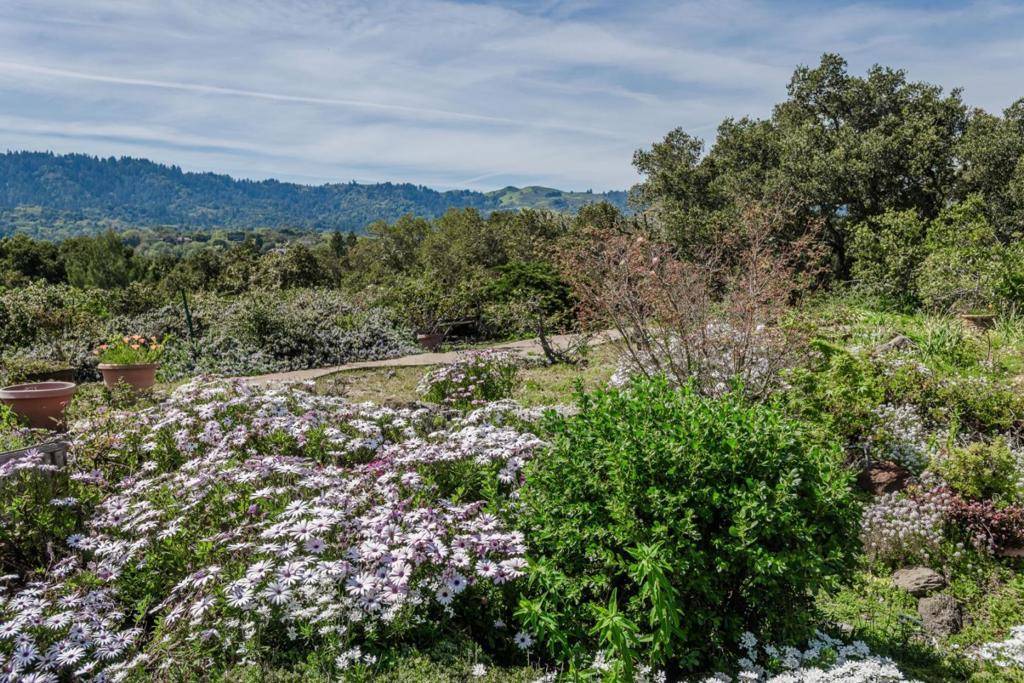 CA 94028,640 Los Trancos RD