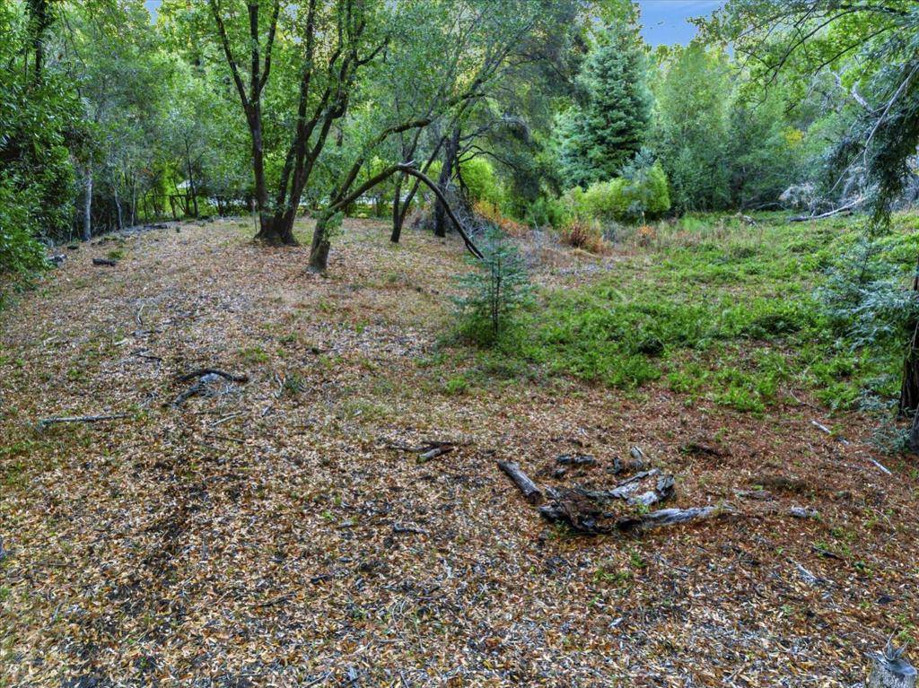 Woodside, CA 94062,18 Montecito