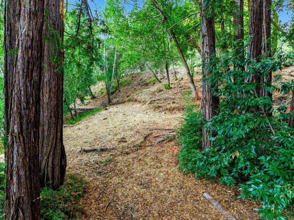 Woodside, CA 94062,18 Montecito