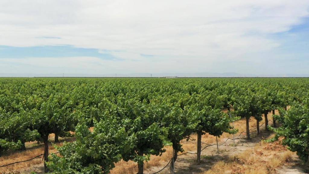 Madera, CA 93639,20650 Road 21