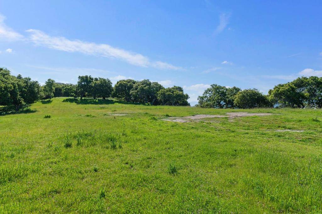 Carmel, CA 93923,88 Linea De Fuego (Lot 62)