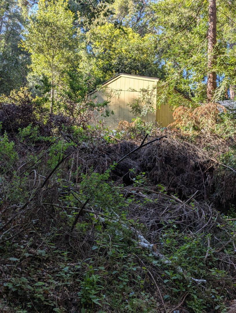 Felton, CA 95018,11259 Fresco ST