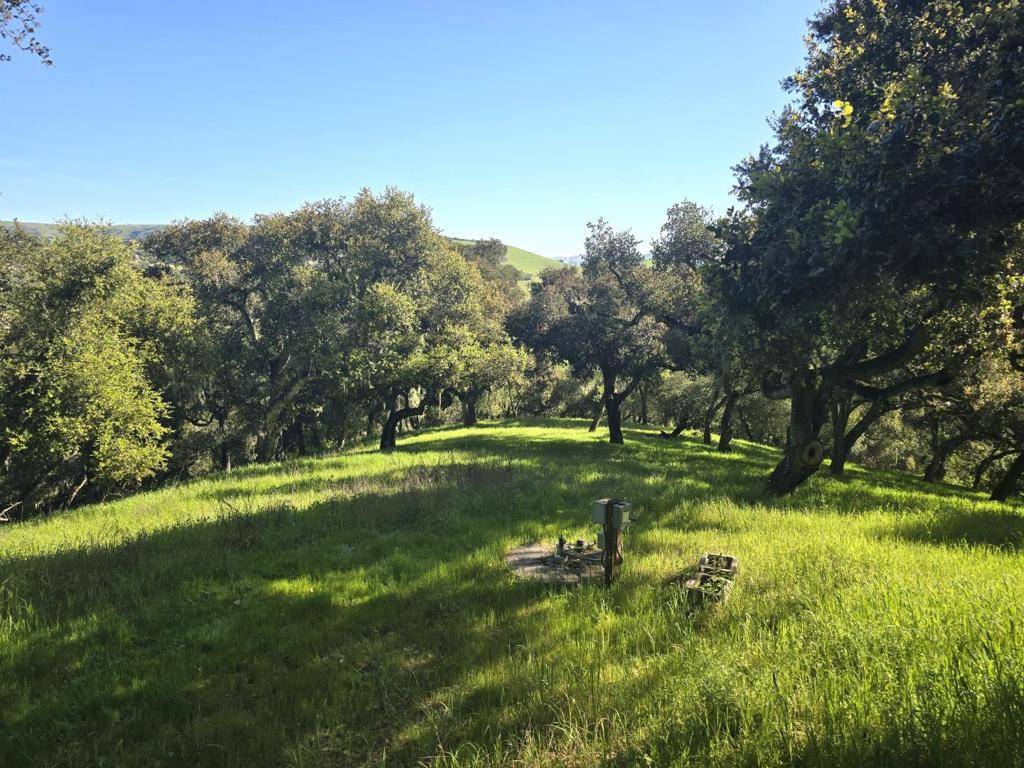 Carmel Valley, CA 93924,16 SLEEPY HOLLOW DRIVE