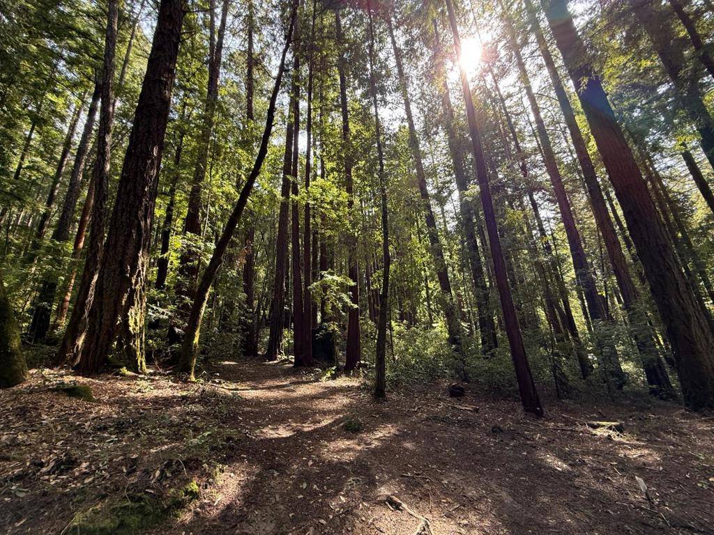 La Honda, CA 94020,0 Slate Creek RD