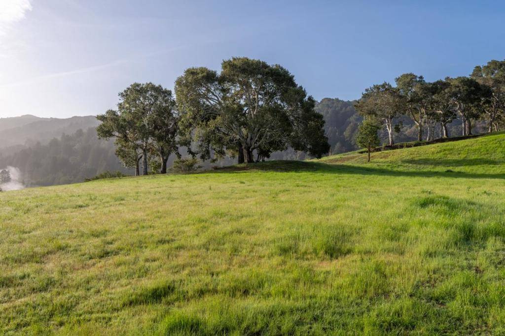 Carmel, CA 93923,17 Rancho San Carlos Road (Lot 4)