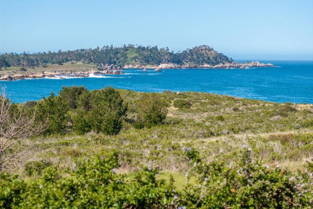 Carmel, CA 93923,2952 Cuesta WAY