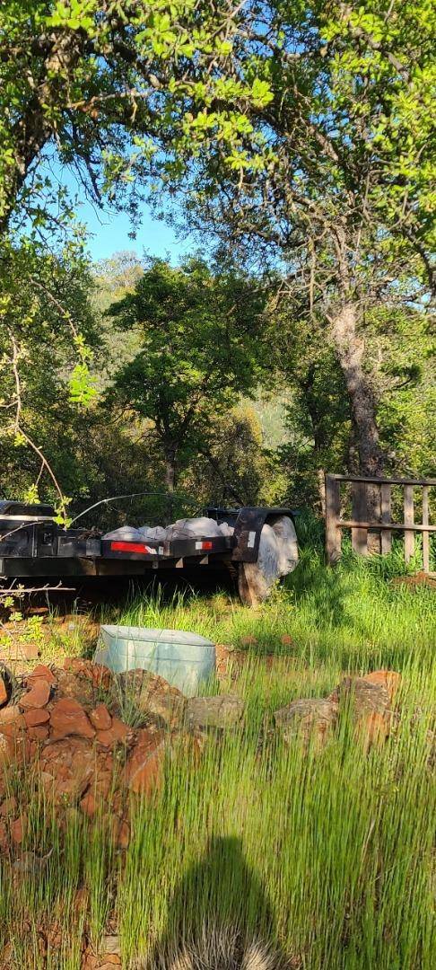 Coulterville, CA 95311,10470 Chicharra CT