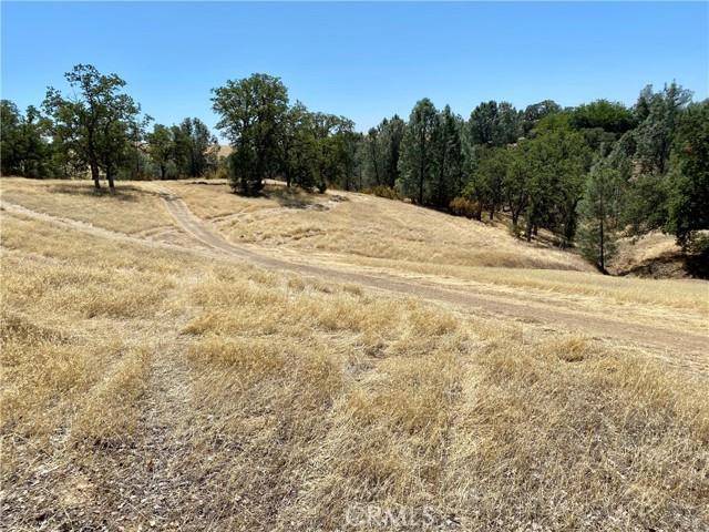 Corning, CA 96021,17323 Wagon Wheel DR