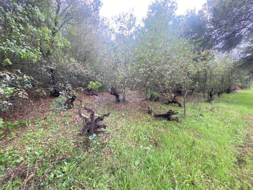 Gilroy, CA 95020,0 Hecker Pass