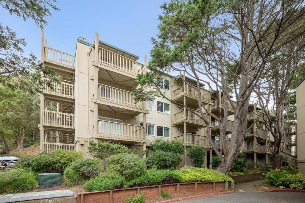 Daly City, CA 94015,359 Half Moon LN #113