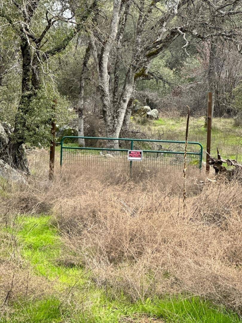 Mariposa, CA 95338,4822 Indian Peaks RD