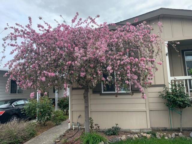 Morgan Hill, CA 95037,63 Mulberry CT