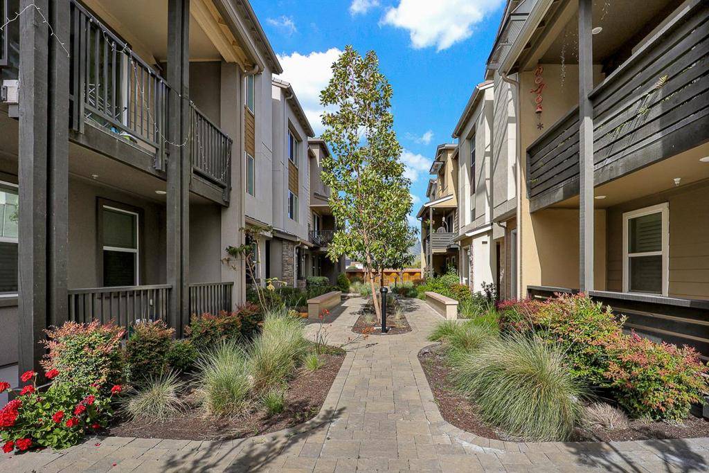 Milpitas, CA 95035,1312 Milkweed ST